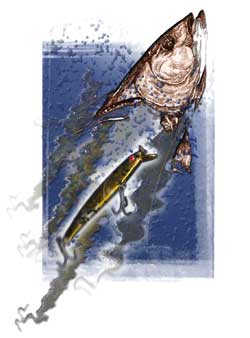 lure